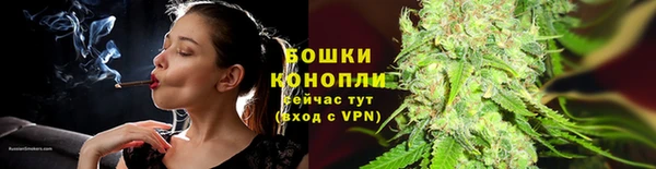 ешки Ладушкин
