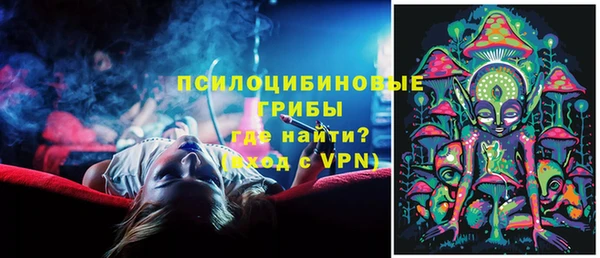 ешки Ладушкин