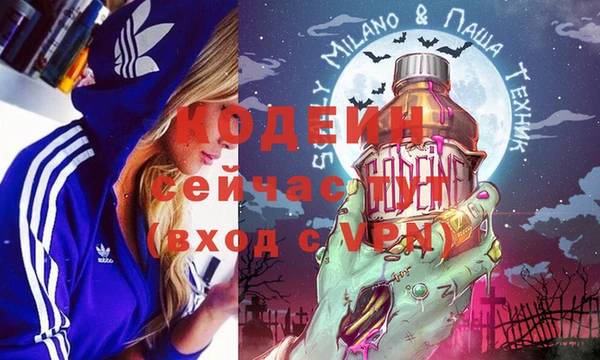 дмт Лагань